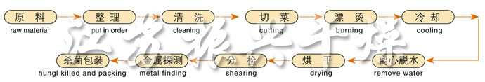 DWC系列脫水(shuǐ)蔬菜帶式幹燥機工藝流程圖